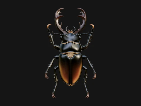 Beetle Statue Design 19 - 3D Print Model 3D Print Model