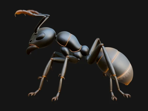 Worker Ant Statue Design 2 - 3D Print Model 3D Print Model