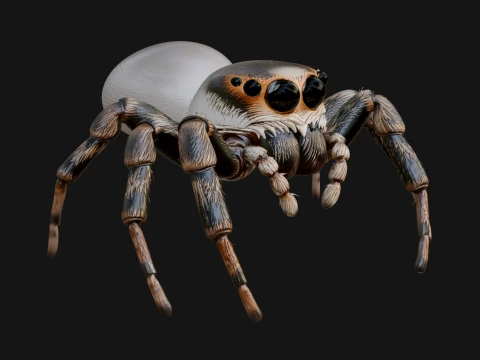 Spider Statue Design 7 - 3D Print Model 3D Принт Модель