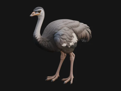 Ostrich Bird Statue Design 1 - 3D Print Model 3D Print Model