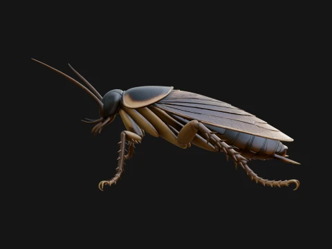 Cockroach Statue Design 3 - 3D Print Model 3D Print Model