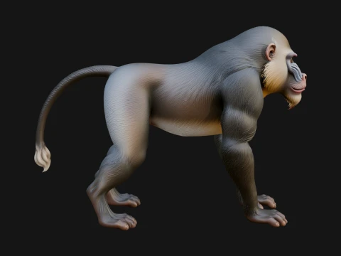 Baboon Statue Design 7 - 3D Print Model 3D 프린트 모델