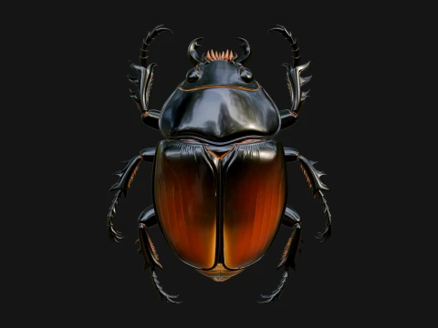 Beetle Statue Design 24 - 3D Print Model 3D Print Model