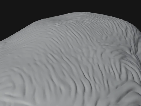 Water Buffalo Statue Design 11 - 3D Print Model 3D Print Model