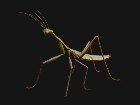 Praying Mantis Statue Design 8 - 3D Print Model 3D Print Model