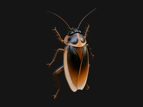 Cockroach Statue Design 4 - 3D Print Model 3D Print Model
