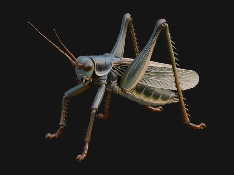 Katydid Statue Design 9 - 3D Print Model 3D Print Model