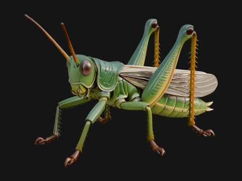 Katydid Statue Design 10 - 3D Print Model 3D Print Model