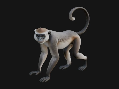 Monkey Statue Design 22 - 3D Print Model 3D Print Model