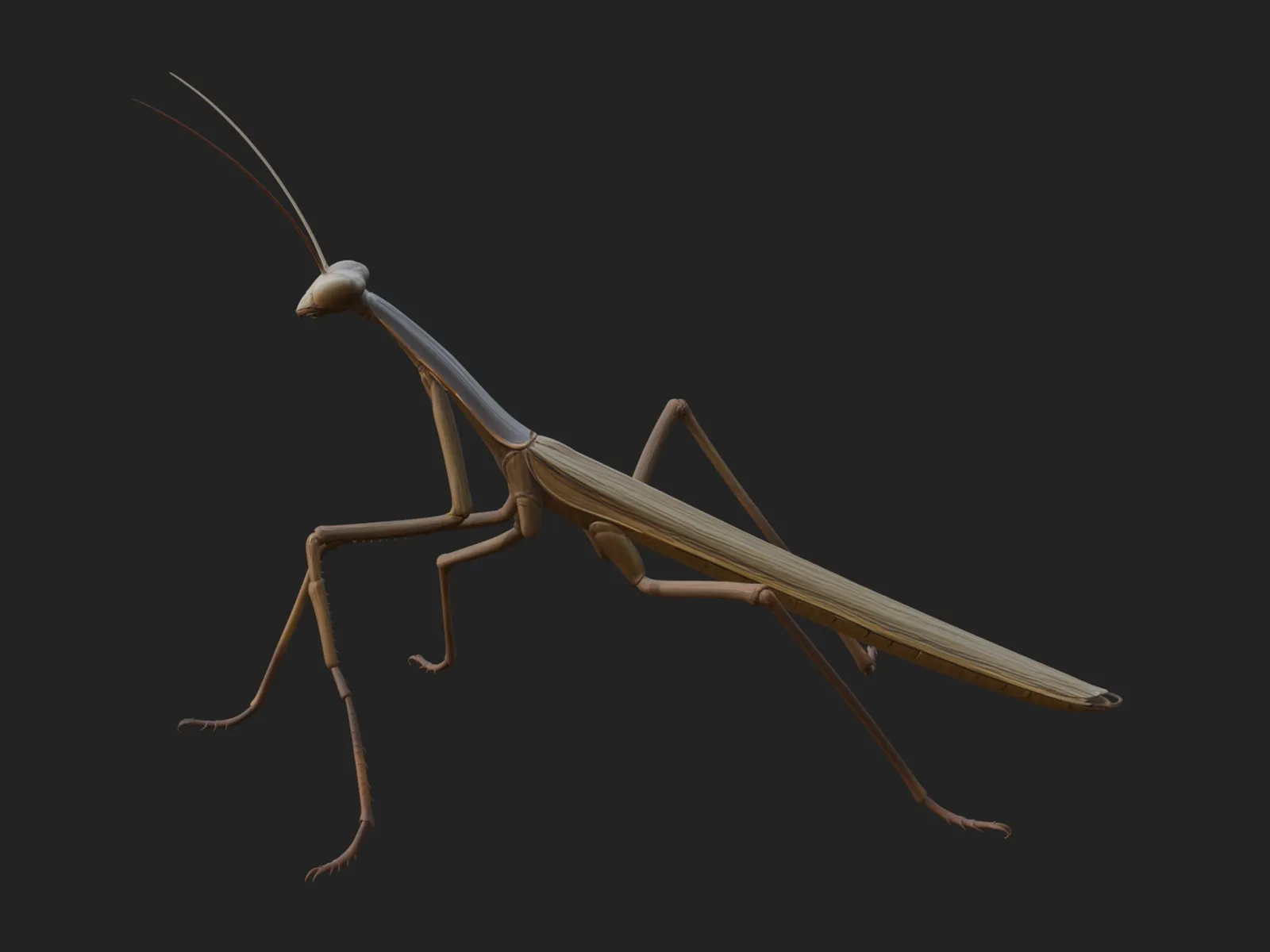 Praying Mantis Statue Design 9 - 3D Print Model 3D Print Model .c4d .max .obj .3ds .fbx .stl .blend 