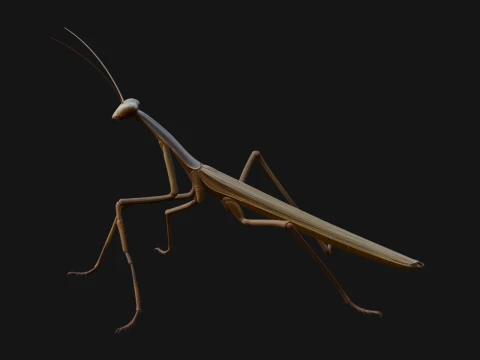 Praying Mantis Statue Design 9 - 3D Print Model 3D Print Model