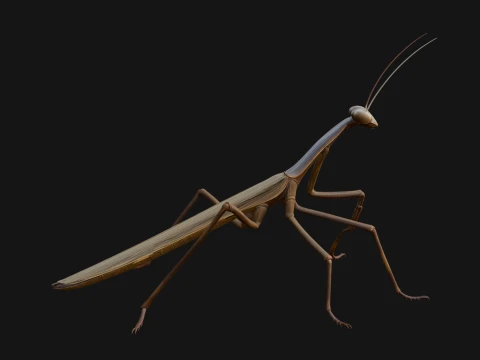 Praying Mantis Statue Design 9 - 3D Print Model 3D Print Model