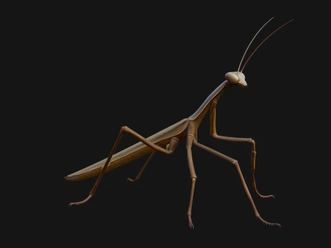 Praying Mantis Statue Design 9 - 3D Print Model 3D Print Model