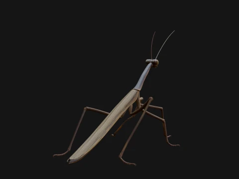 Praying Mantis Statue Design 9 - 3D Print Model 3D Print Model