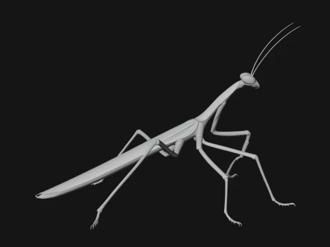 Praying Mantis Statue Design 9 - 3D Print Model 3D Print Model
