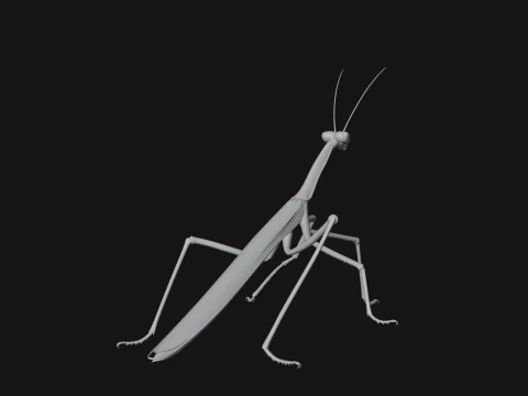 Praying Mantis Statue Design 9 - 3D Print Model 3D Print Model
