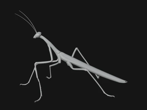 Praying Mantis Statue Design 9 - 3D Print Model 3D Print Model