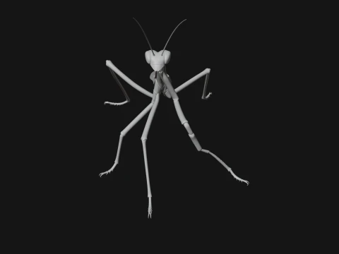 Praying Mantis Statue Design 9 - 3D Print Model 3D Print Model