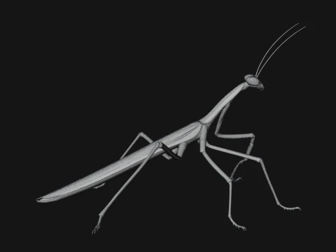 Praying Mantis Statue Design 9 - 3D Print Model 3D Print Model