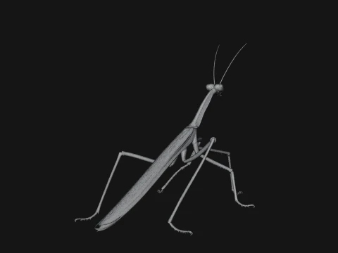 Praying Mantis Statue Design 9 - 3D Print Model 3D Print Model