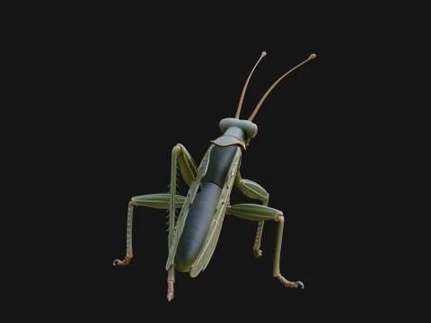 Praying Mantis Statue Design 10 - 3D Print Model 3D Print Model