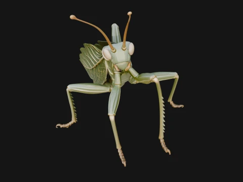 Praying Mantis Statue Design 10 - 3D Print Model 3D Print Model
