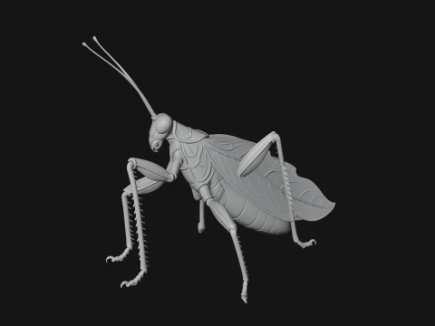 Praying Mantis Statue Design 10 - 3D Print Model 3D Print Model