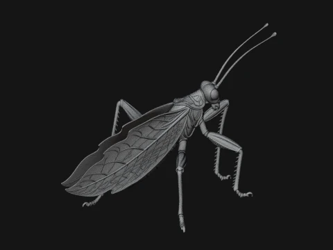 Praying Mantis Statue Design 10 - 3D Print Model 3D Print Model