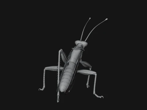 Praying Mantis Statue Design 10 - 3D Print Model 3D Print Model