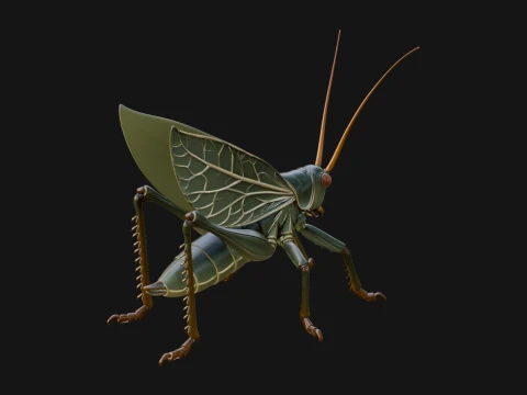 Katydid Statue Design 11 - 3D Print Model 3D Print Model