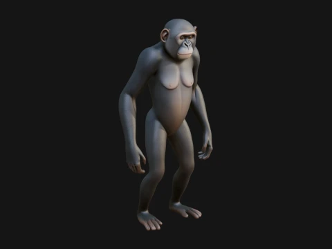 Monkey Statue Design 23 - 3D Print Model 3D 프린트 모델