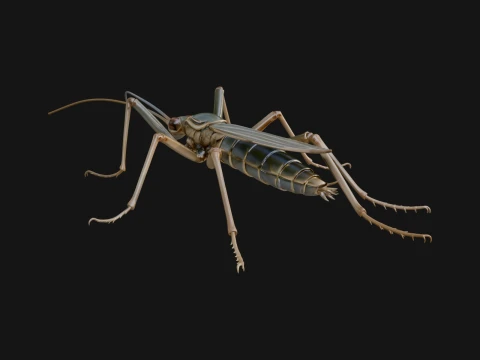Katydid Statue Design 13 - 3D Print Model 3D Принт Модель