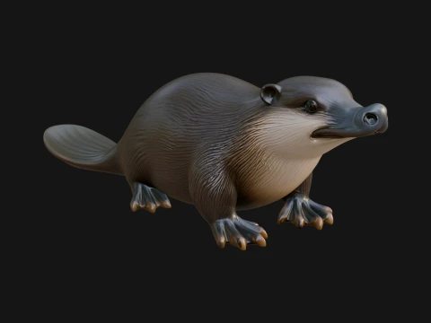 Platypus Statue Design 1 - 3D Print Model 3D printmodel