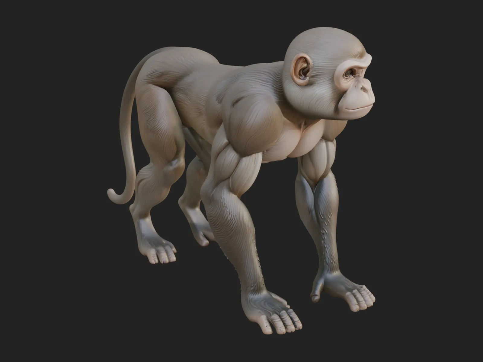 Monkey Statue Design 26 - 3D Print Model 3D Print Model .c4d .max .obj .3ds .fbx .stl .blend 