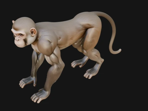 Monkey Statue Design 26 - 3D Print Model 3D Print Model