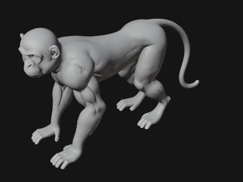 Monkey Statue Design 26 - 3D Print Model 3D Print Model