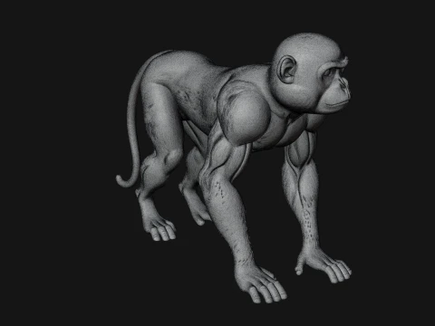 Monkey Statue Design 26 - 3D Print Model 3D Print Model