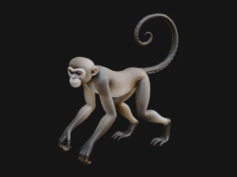 Monkey Statue Design 27 - 3D Print Model 3D 프린트 모델