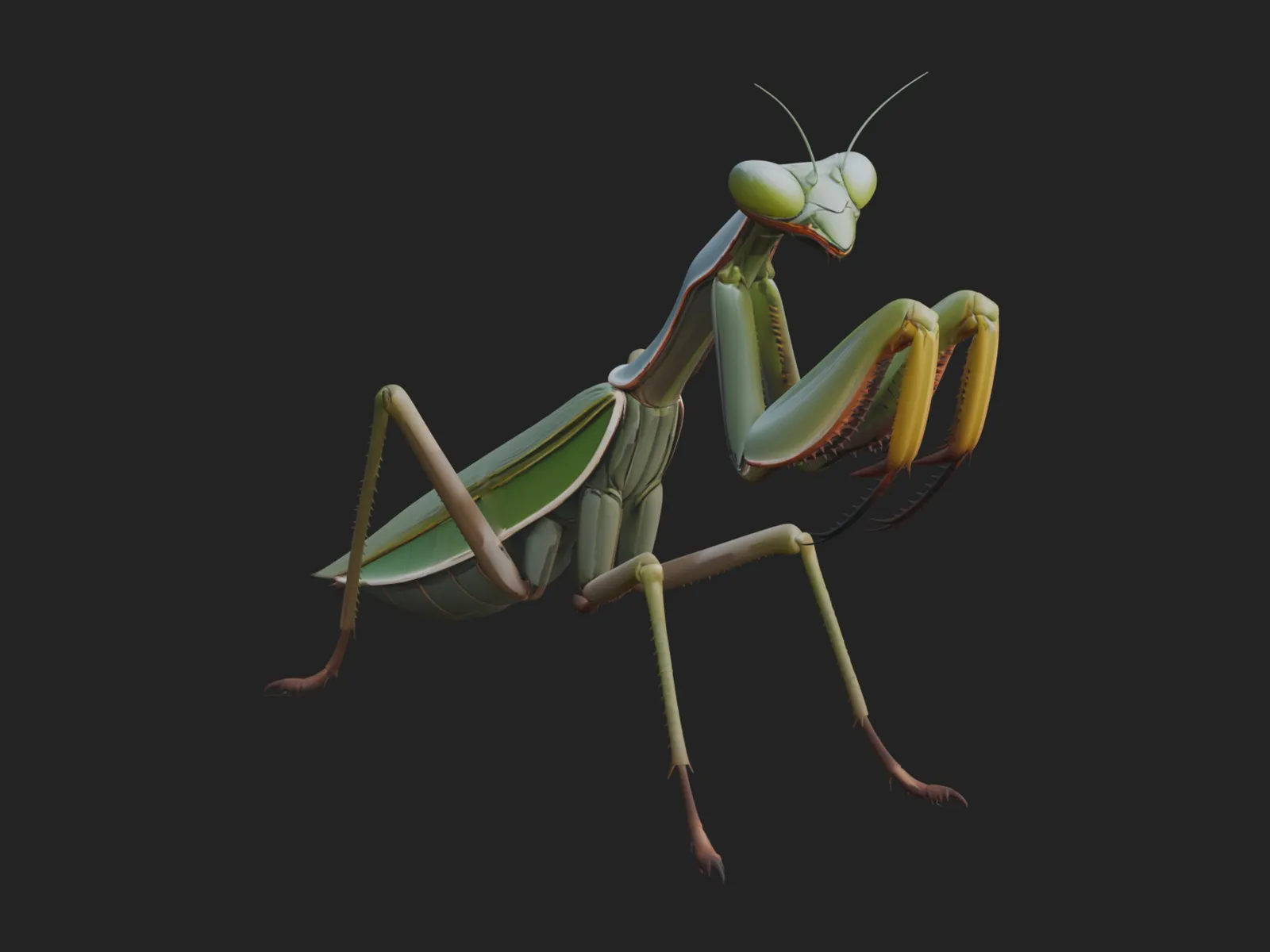 Praying Mantis Statue Design 11 - 3D Print Model 3D Print Model .c4d .max .obj .3ds .fbx .stl .blend 