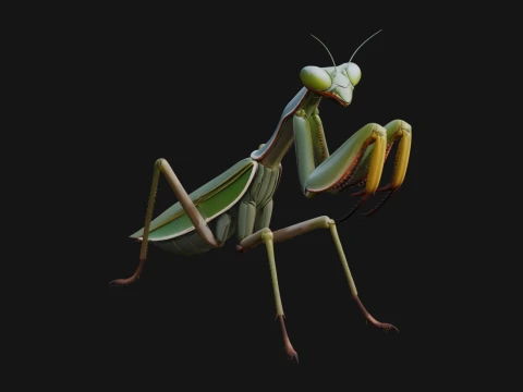 Praying Mantis Statue Design 11 - 3D Print Model 3D Print Model
