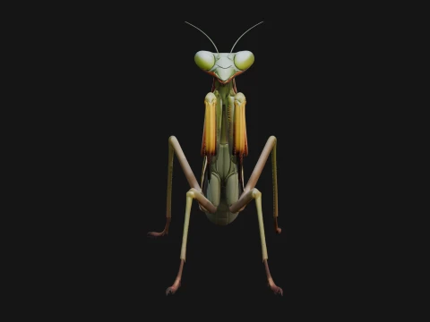 Praying Mantis Statue Design 11 - 3D Print Model 3D Print Model