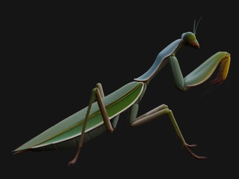 Praying Mantis Statue Design 11 - 3D Print Model 3D Print Model