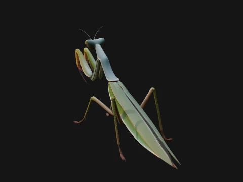 Praying Mantis Statue Design 11 - 3D Print Model 3D Print Model
