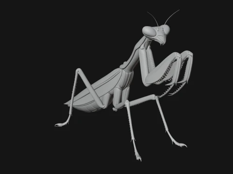 Praying Mantis Statue Design 11 - 3D Print Model 3D Print Model