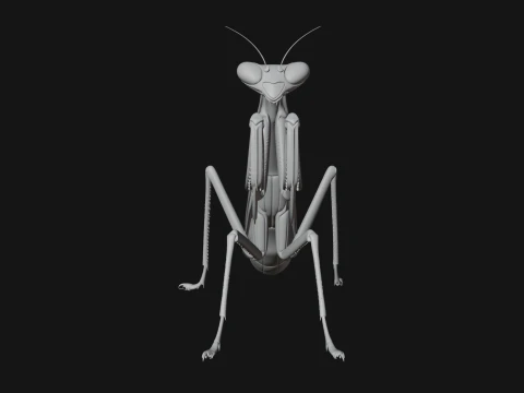 Praying Mantis Statue Design 11 - 3D Print Model 3D Print Model