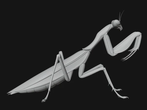 Praying Mantis Statue Design 11 - 3D Print Model 3D Print Model