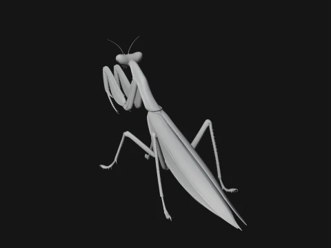 Praying Mantis Statue Design 11 - 3D Print Model 3D Print Model
