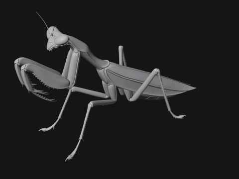 Praying Mantis Statue Design 11 - 3D Print Model 3D Print Model