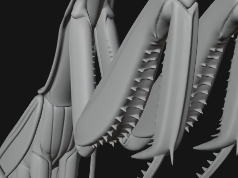 Praying Mantis Statue Design 11 - 3D Print Model 3D Print Model