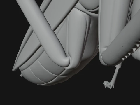 Praying Mantis Statue Design 11 - 3D Print Model 3D Print Model